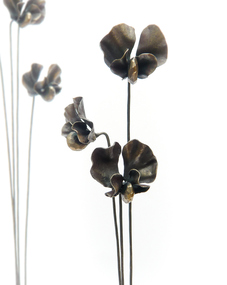 大きな鉄の弧に可憐な鉄のスイトピーが立ち上がる作品です。同じ鉄ですが硬さと柔らかさの対比が感じ取れます。花の様子。