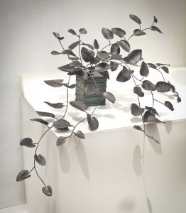 カンガルーアイビーをモチーフにしたアイアンアート作品。 鍛造によって繊細なハンマートーンを施した葉が、元気に伸びている姿です。大小のあるハート型の葉のリズム感が可愛らしい雰囲気です。 ベースも含め全て鉄で、クリア塗装仕上げです。色味の違いは鉄の仕上げで表現しています。