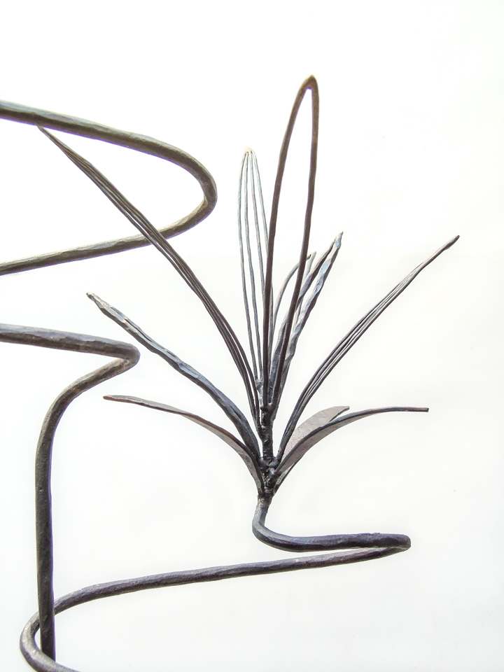 ドラセナ・サンデリアーナをモチーフにして、木と組み合わせて彫刻作品に作りました。鉄で作った葉の部分の表現。