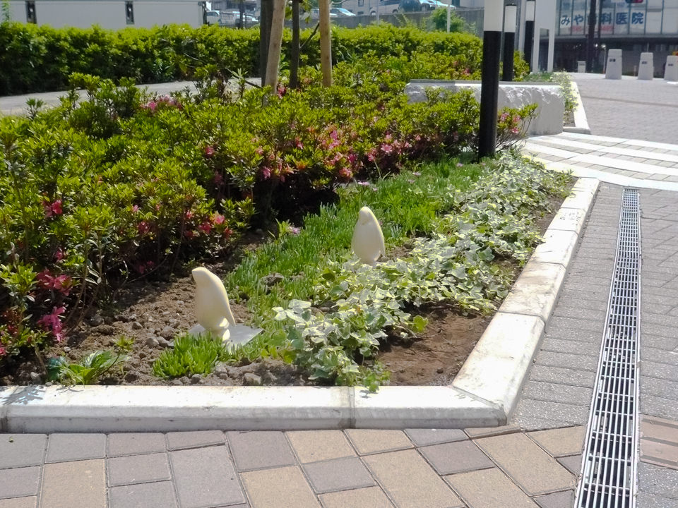 港北ノースポートモールに設置になったペンギンのアートオブジェ「- P.Parade -Social studies visit」の設置された様子です。ポリレジンでできており、陶器用の風合いの質感です。外構設置の様子。