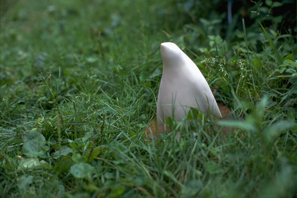 野辺山アースワークミーティング2000でのP.Parade、ペンギンのアートオブジェ、インスタレーションの記録写真。