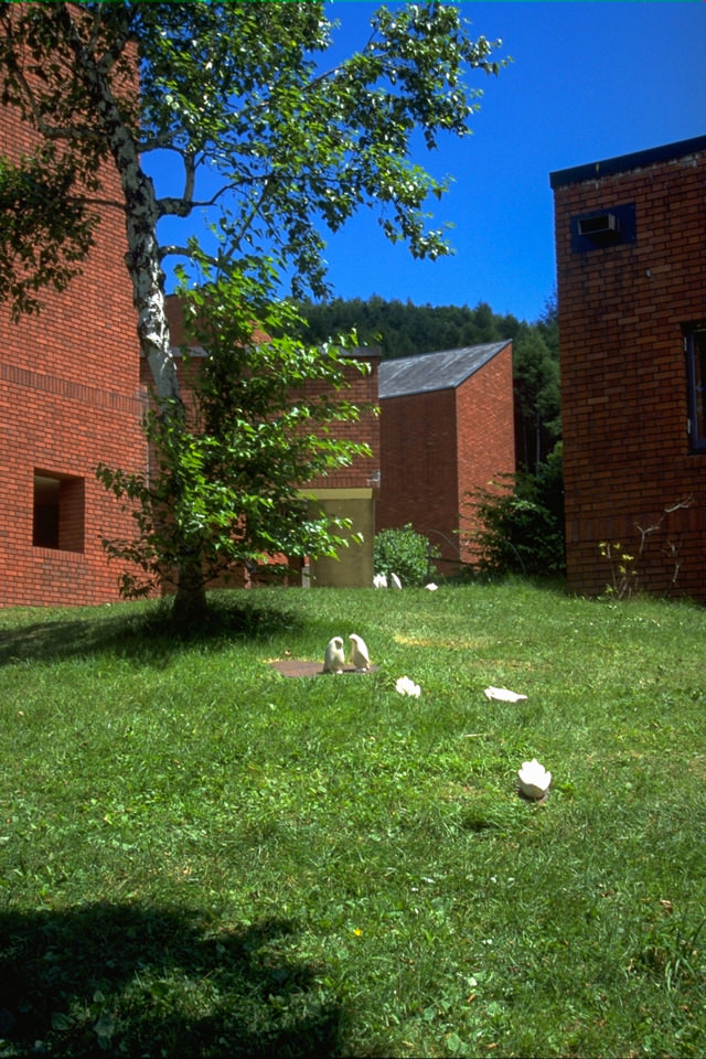 野辺山アースワークミーティング2000でのP.Parade、ペンギンのアートオブジェ、インスタレーションの記録写真。