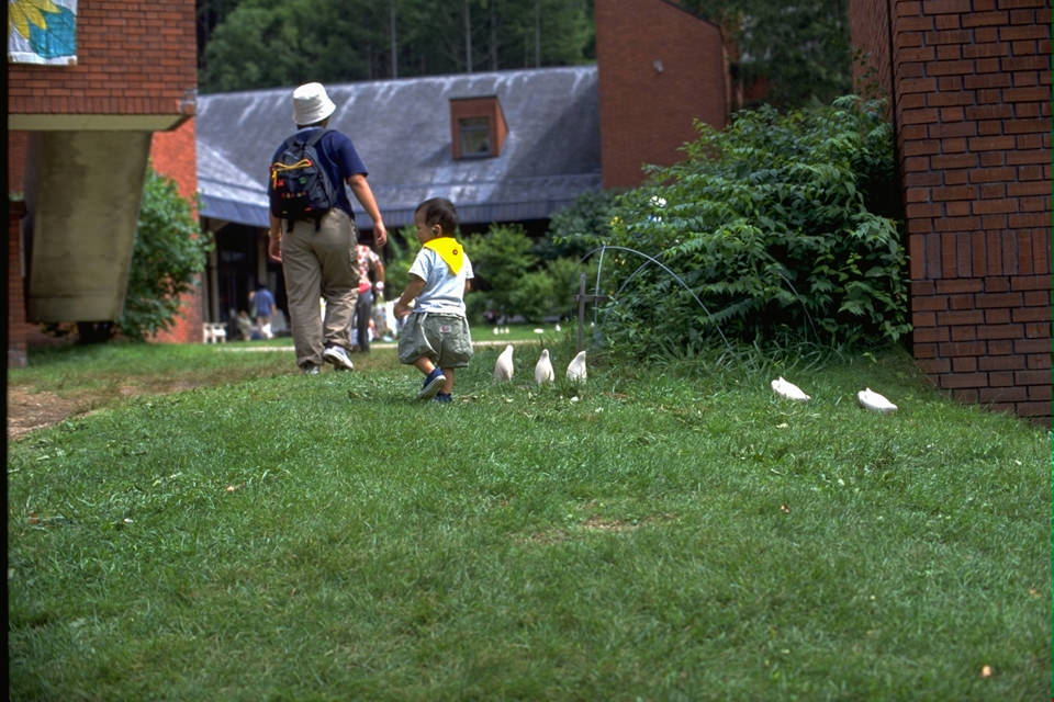 野辺山アースワークミーティング2000でのP.Parade、ペンギンのアートオブジェ、インスタレーションの記録写真。