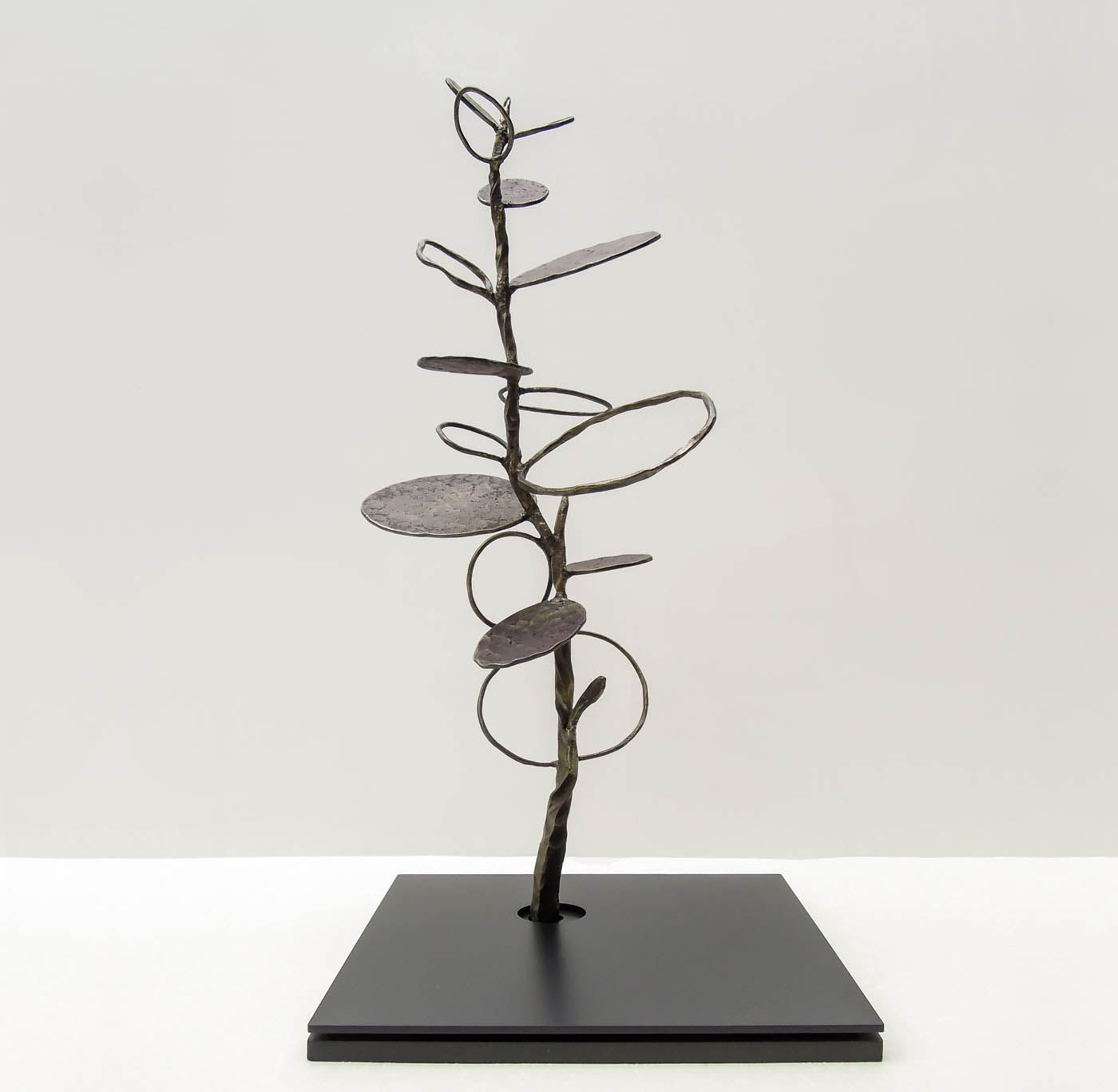 グリーンドラムという植物をモチーフにデザインした鉄のオブジェ、彫刻作品です。 葉の大きさに大小をつけて幾何学的に散らしました。